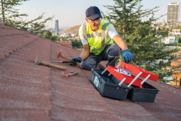 Best Storm Damage Siding Repair  in Morrisville, VT